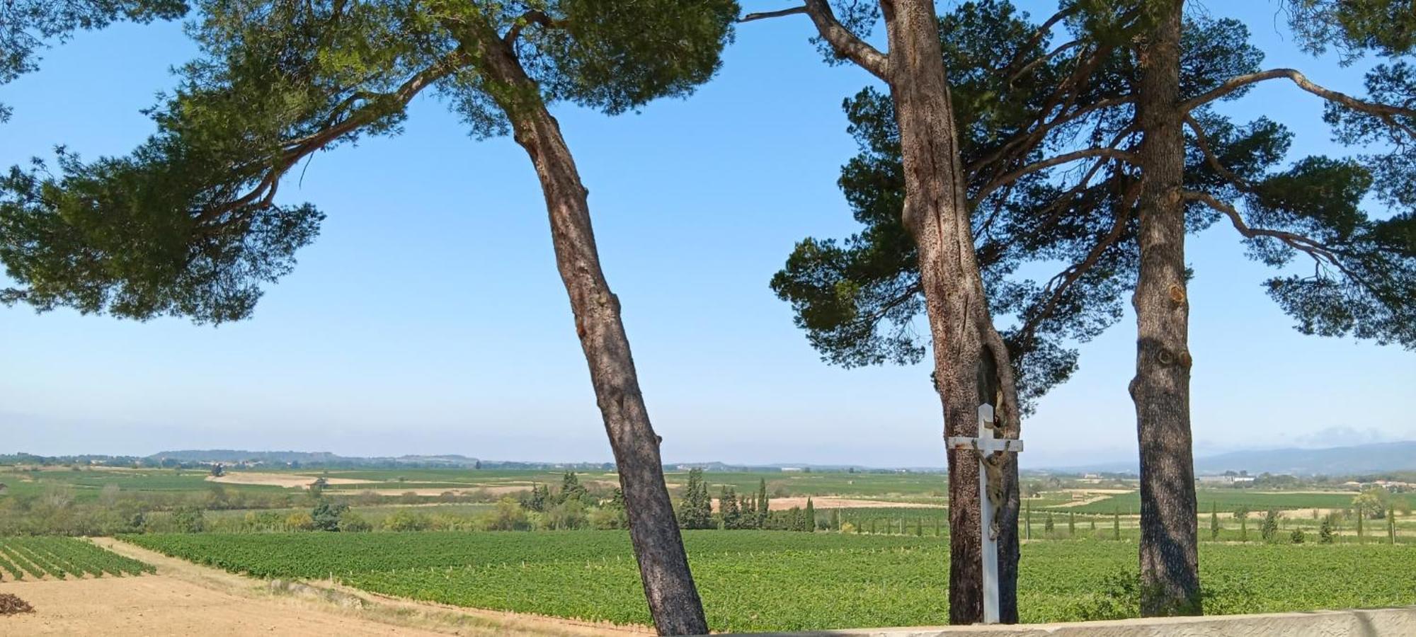 La Petite Romance - Gite 3 Etoiles Siran Bagian luar foto